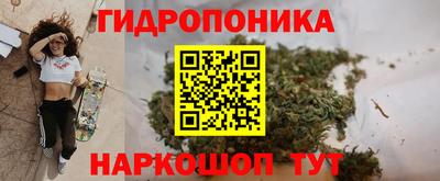 сатива Ангарск
